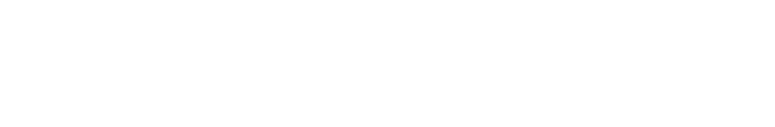 Infini Analytics
